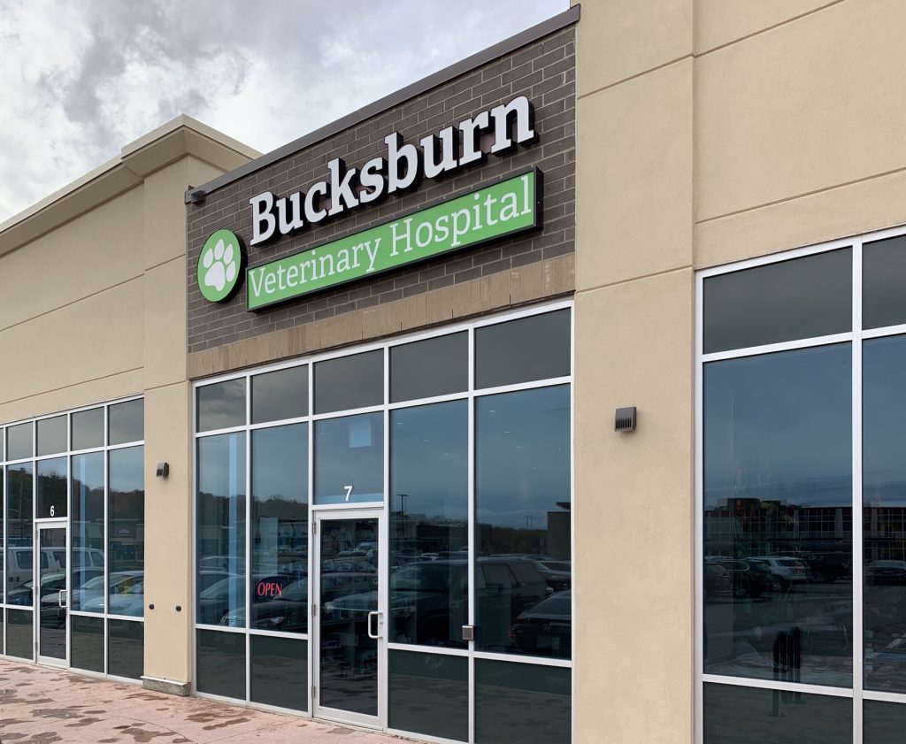 About Our Animal Hospital in Oakville! | Bucksburn Veterinary Hospital About Our Animal Hospital in Oakville! | Bucksburn Veterinary Hospital