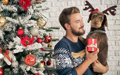 image for Pet Proofing Your Holiday Decorations